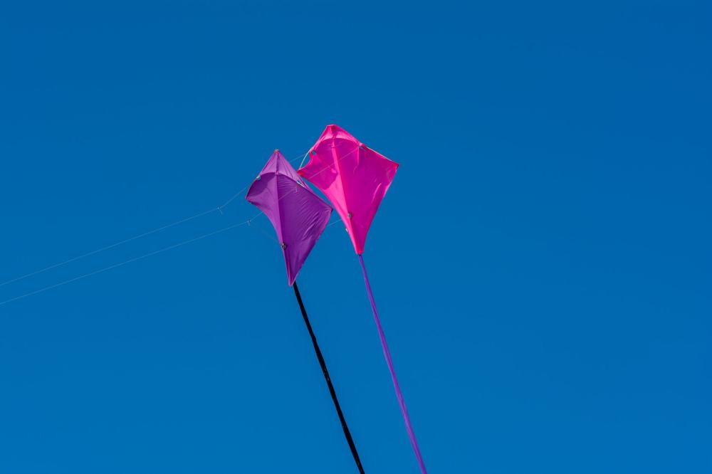 Basant Season Travel Tips in Lahore