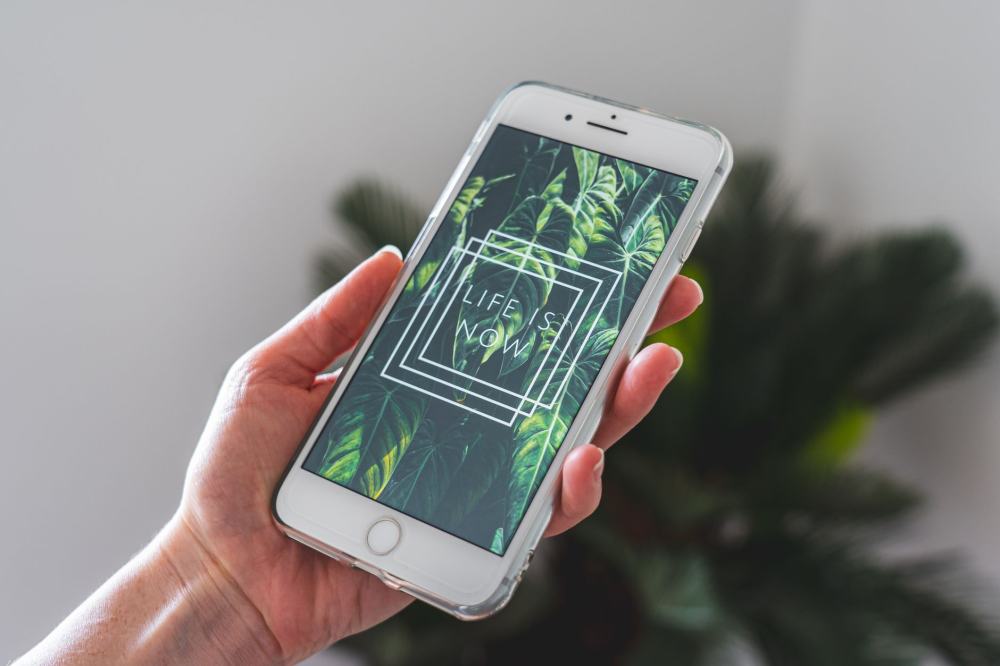 Understanding Your Carbon Footprint Stats on Shareide