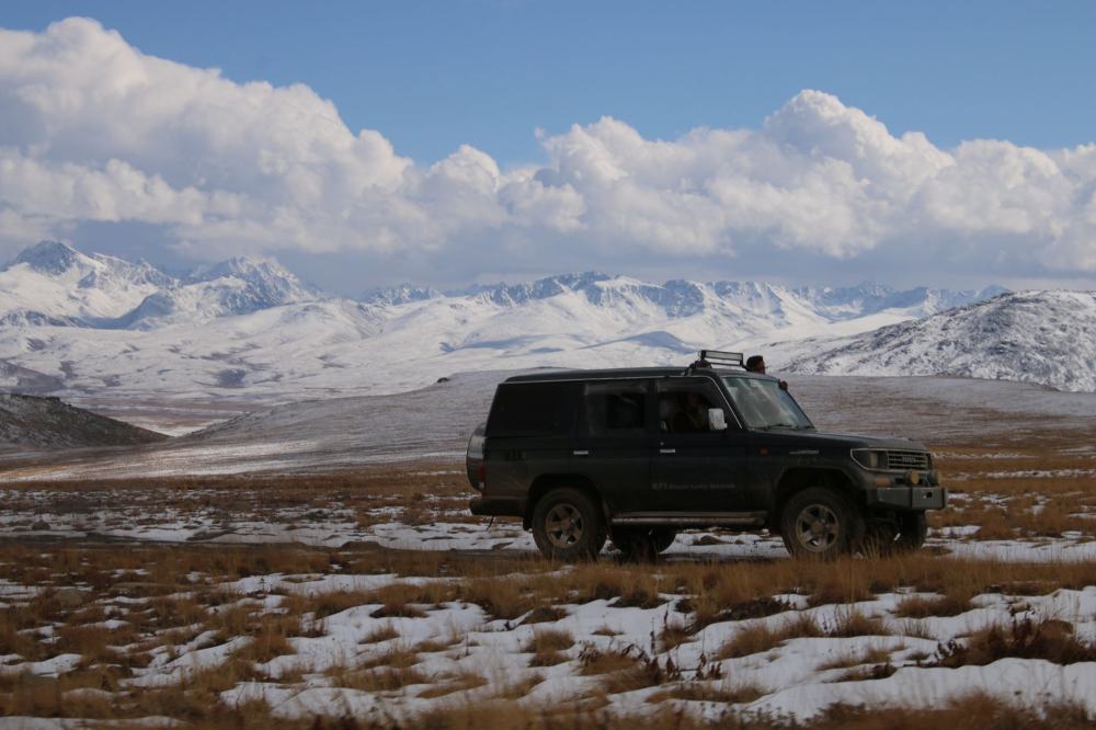 Planning a Trip to Deosai Plains