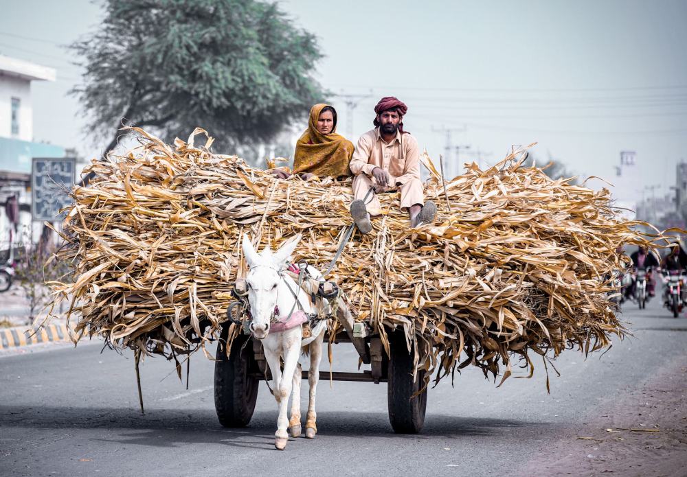 Haripur Commute Guide: Getting Around with Shareide