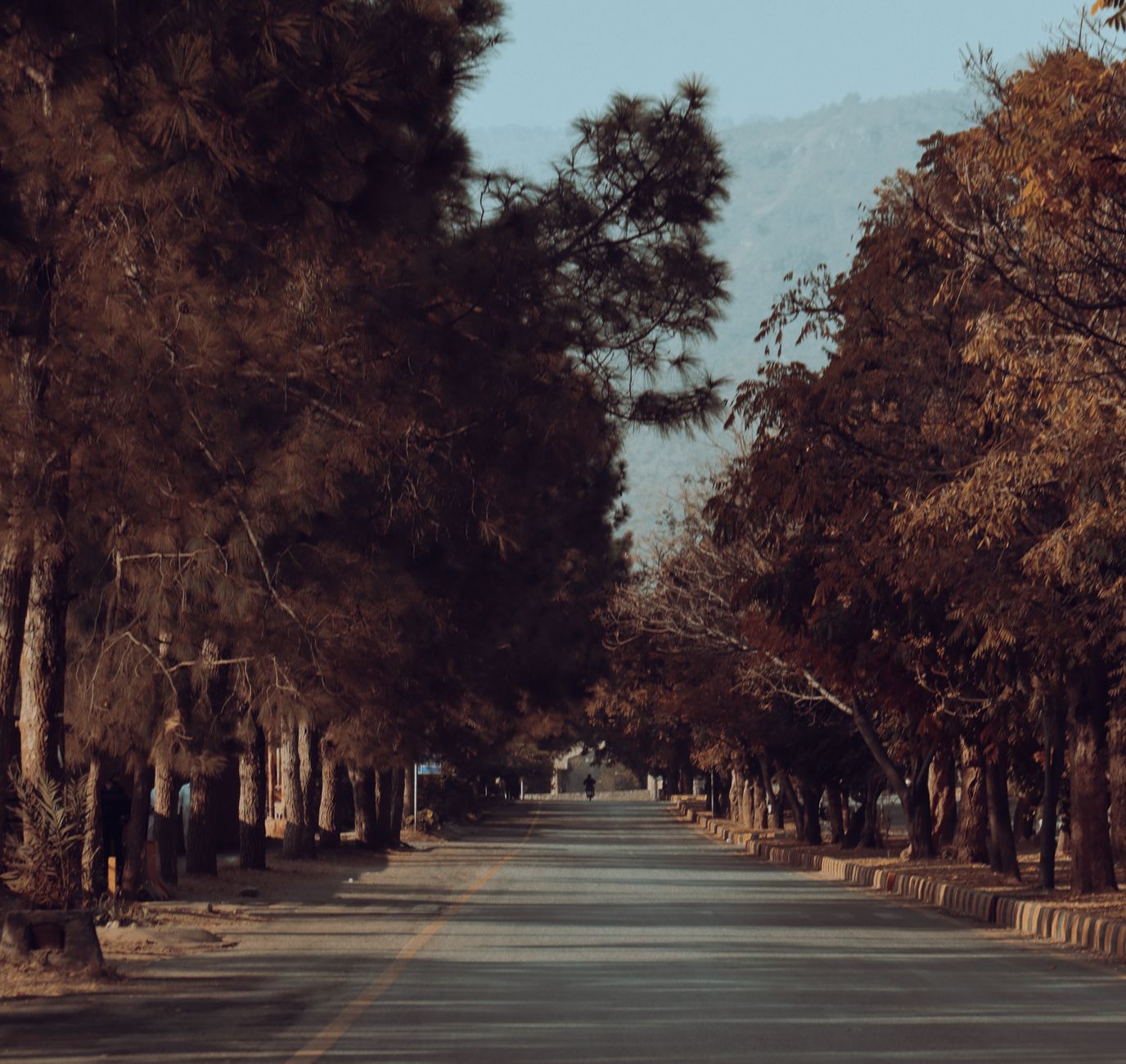 Islamabad & Rawalpindi Commute Guide: Twin Cities, One Shared Ride