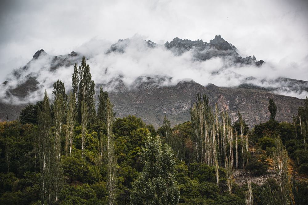 A Traveler's Guide to Kalash Valley