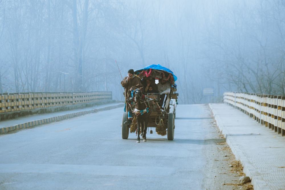 Winter Driving Safety Guide for 2026-27